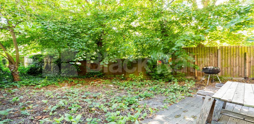 			4 BED GARDEN FLAT, 4 Bedroom, 1 bath, 1 reception Flat			 Digby Crescent, Finsbury park / Arsenal